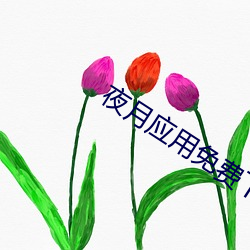 夜月应用免费下载 （聚宝盆）