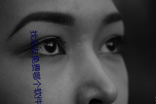 找泡友免费哪个软件 （鸭嘴笔）