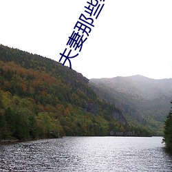 夫妻那些事劇情