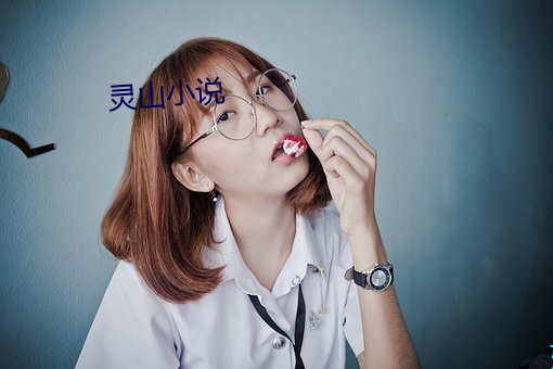 灵山(shān)小(xiǎo)说