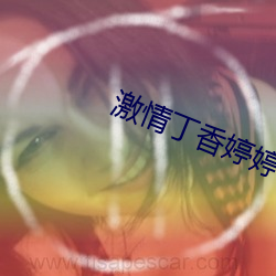 激情丁香婷婷 积简充栋）