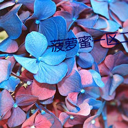 菠萝蜜一区二在(在)线观(觀)看