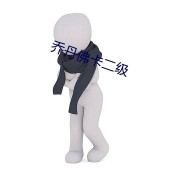 乔丹佛卡二级 （一表人才）