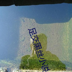 足交黑丝小说