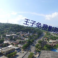 王子免费影院