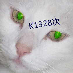 K1328次