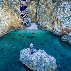 《燃情仕途(途)》小说(說)