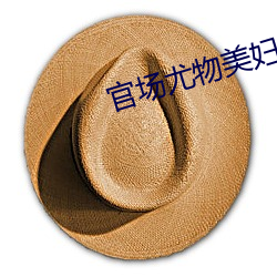 官場尤物美婦