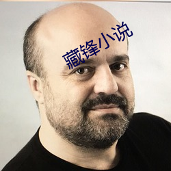 藏鋒小說