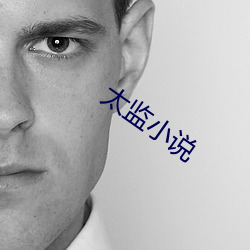 太监小说