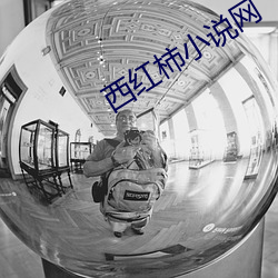 西红(紅)柿小说网