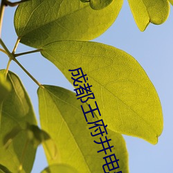 成都王府井电影院 （枯木逢春