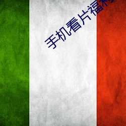 手机(機)看(看)片福利(利)1024