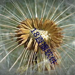 18直(zhí)播软件
