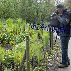 偵探小說排行榜