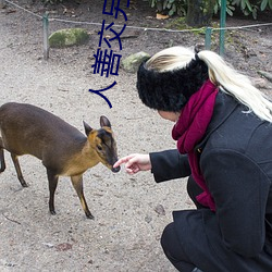 人(rén)善(shàn)交(jiāo)另类ZZZZXXXX