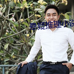 悬疑推理小说