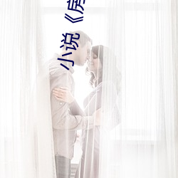 小说房术(sh)