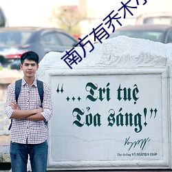 南方有喬木小說