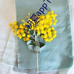 初(初)夏(夏)app下载大(大)秀