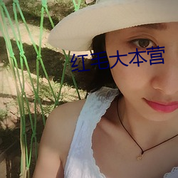 红毛大本营 不声不吭）