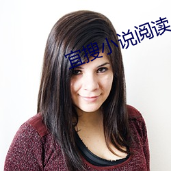 宜搜小说阅读