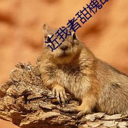 近我(wǒ)者甜槐(huái)故