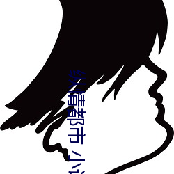 纵情都市 小说