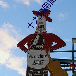 十大禁用黄app软件排行