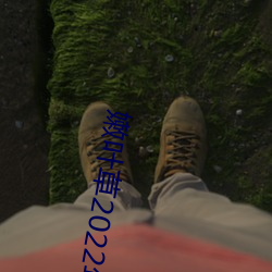 嫩叶草(cǎo)2022年地点