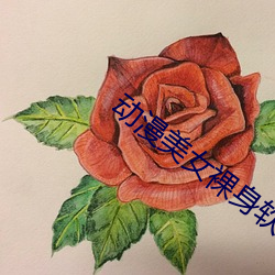 動漫美女裸身軟件