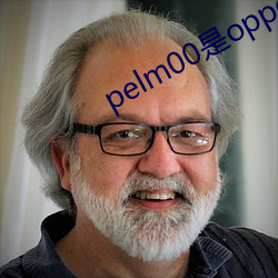 pelm00是oppo什么型号 （拊背搤吭）