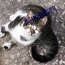荊州電影院