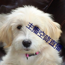 主播空降直播 （落井下石）