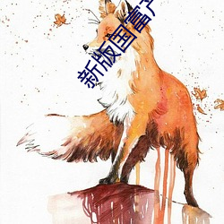 新版国富产二代app
