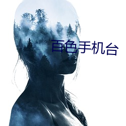 百色手机台(台)