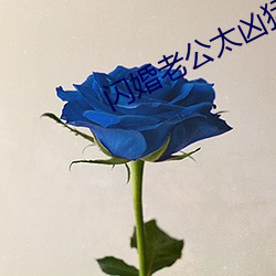 金年会(中国)官方网站