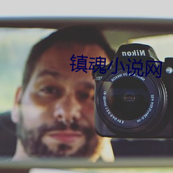 镇魂小说(shuō)网