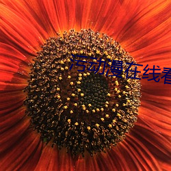 九游会登录j9入口 - 中国官方网站 | 真人游戏第一品牌