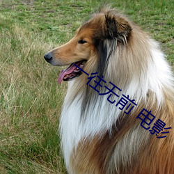 BG大游(中国)唯一官方网站