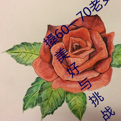 搡60一70老女人老婦女(探尋晚年生活的美好與挑戰)
