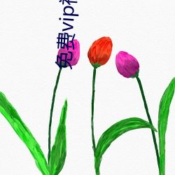 免費vip視頻app