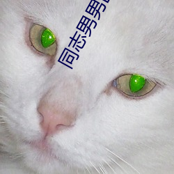 同志(志)男男巨大(大)
