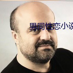 男同性恋小说 （天朗气清）