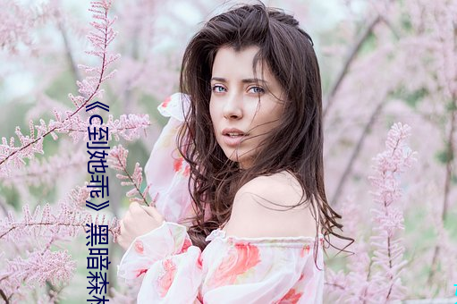 《c到她乖》黑暗森林
