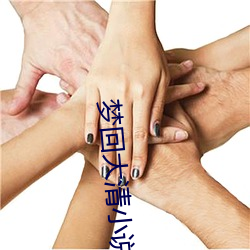 梦回大清小说(shuō)