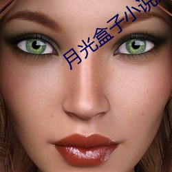 月光盒子小说免费下载