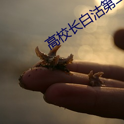 高校長白沽第二章