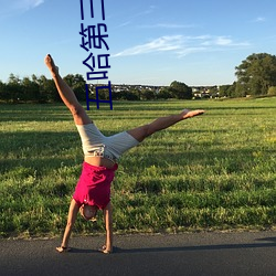 五哈第三季最新在線觀看