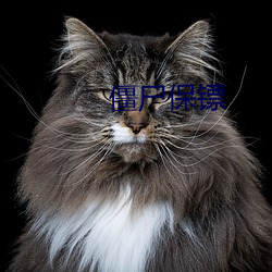 僵(jiāng)尸保镖